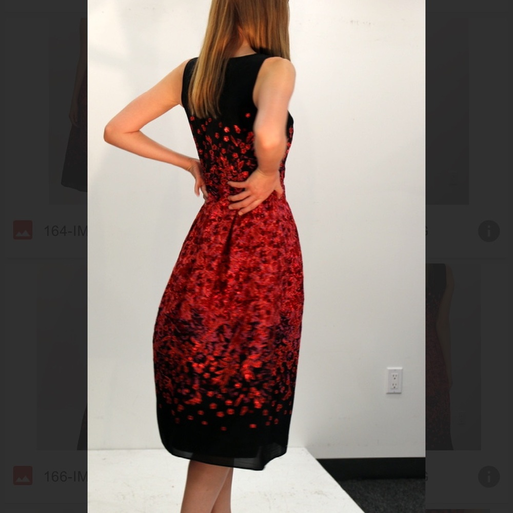 NWT Carlisle Formal Embroidered Black and Red Floral Midi Dress - Picture 6 of 14